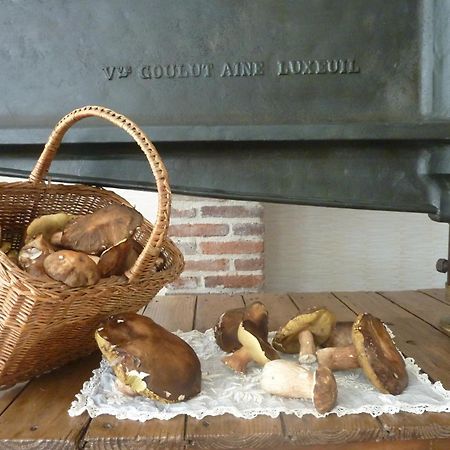 Domaine De La Tannerie Chambres D'Hotes Et Appartements 프라드 외부 사진